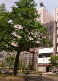 セイトウ社ビル
